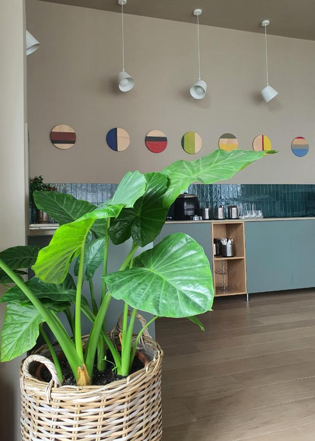 Marida Hotel Satu Mare Ngoại thất bức ảnh